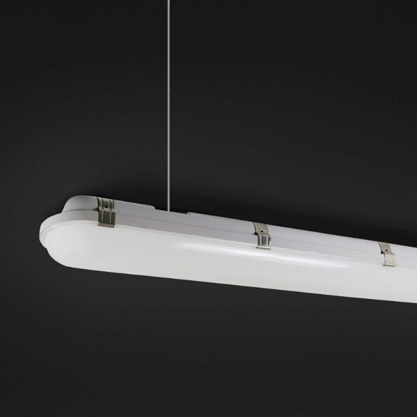 未命名图片 2025.08.06 (1) 600